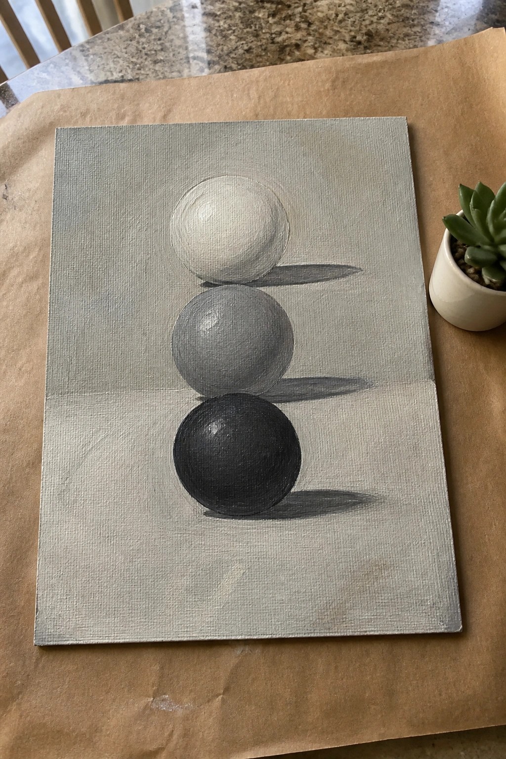 Three shaded spheres painted on canvas on brown paper beside a potted succulent.
