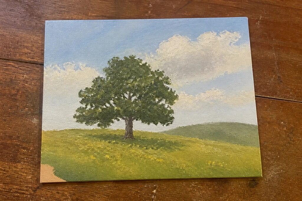 A solitary tree with lush green leaves in a sunlit grassy meadow under blue skies.