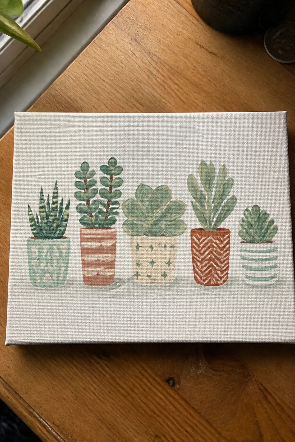Five succulents in patterned pots on white canvas over wood
