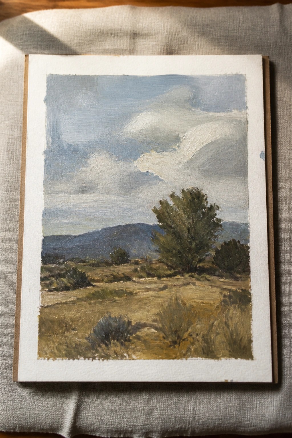 Oil painting of a landscape with a cloudy sky, distant hills, a large green bush, and dry grass in the foreground.