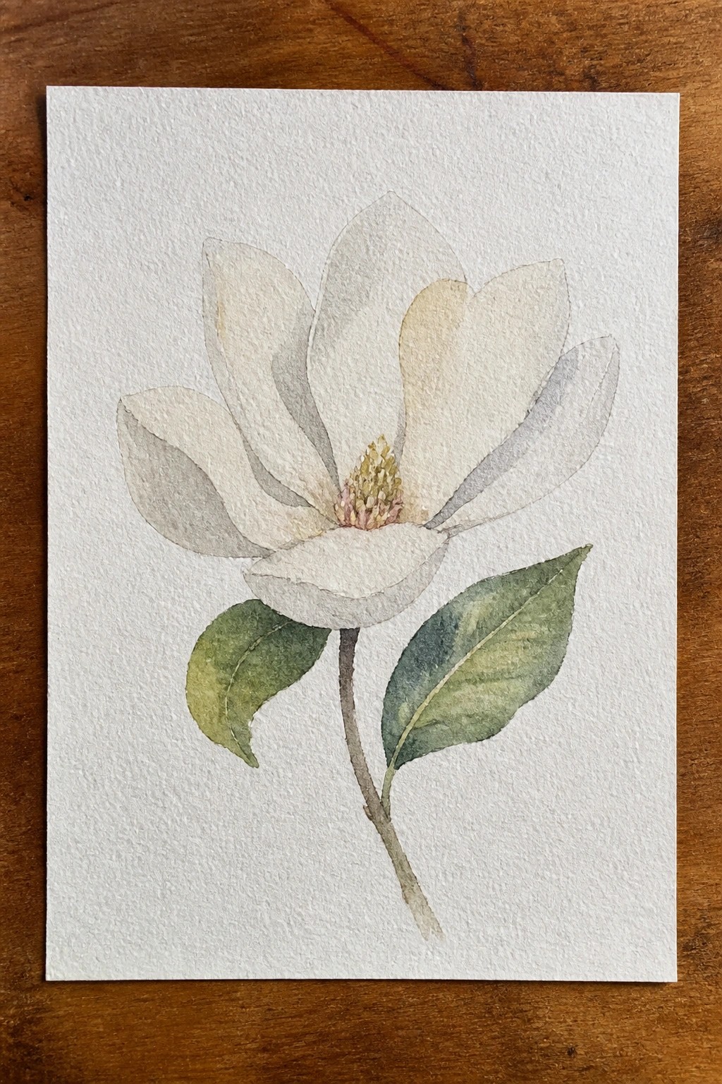 Watercolor painting of white magnolia flower with green leaves on paper