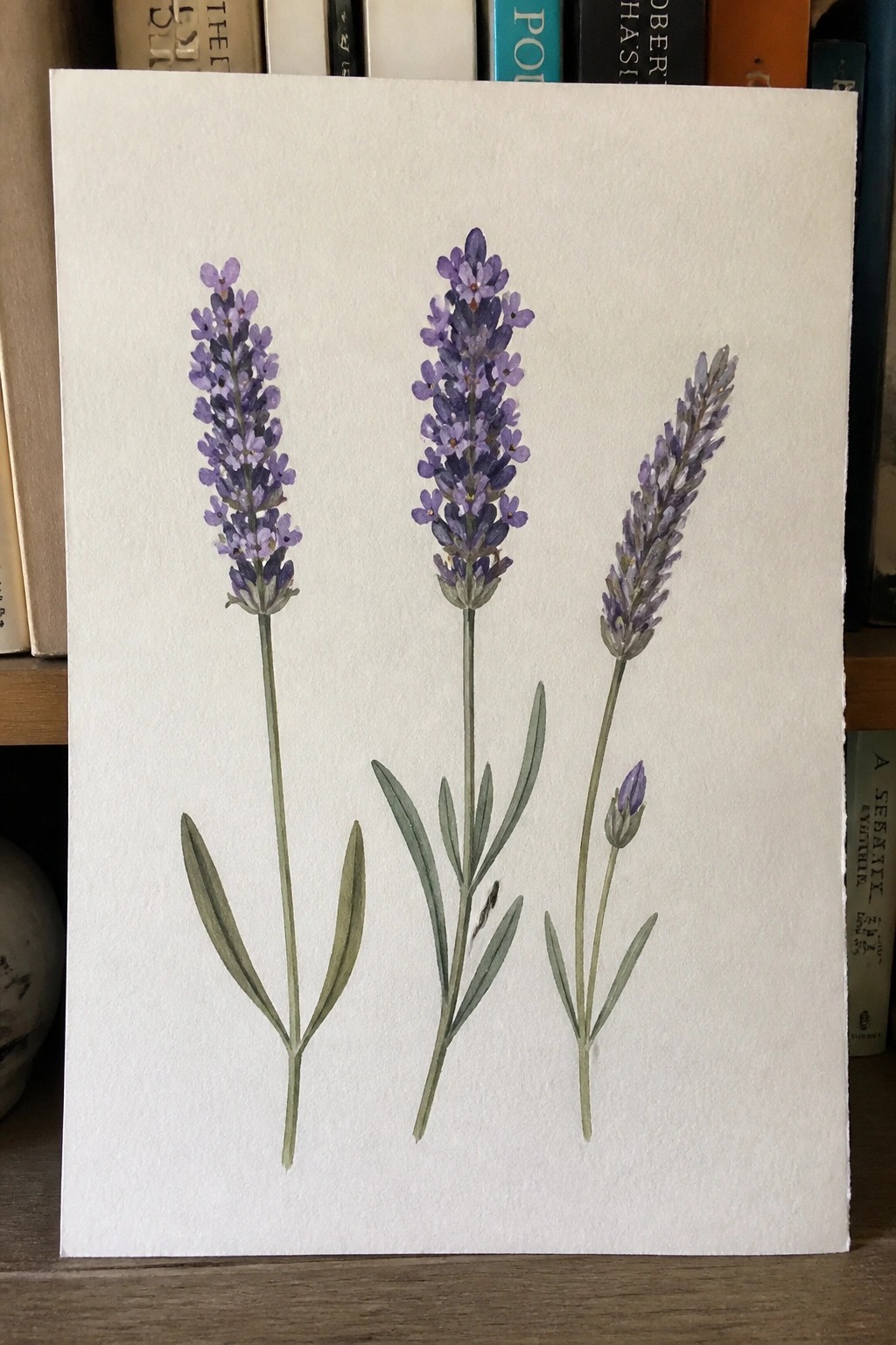 Watercolor painting of three purple lavender stems with green leaves on white paper