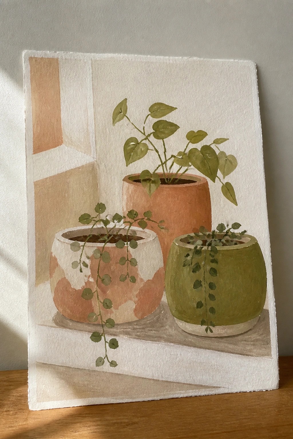 Three potted plants with trailing vines in terracotta, green, and marbled pots.