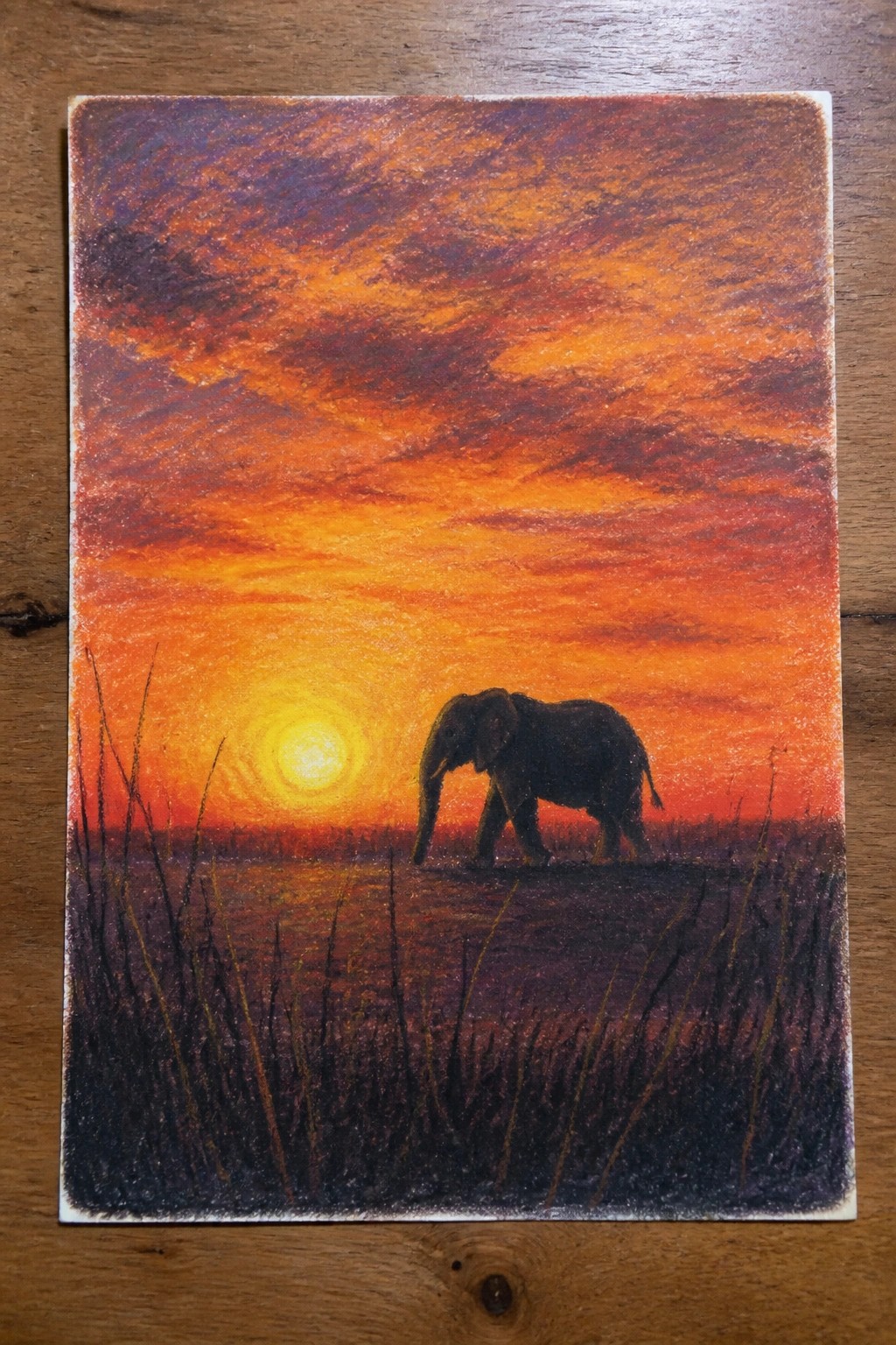 Silhouetted elephant walking through tall grass under vibrant orange-red sunset sky