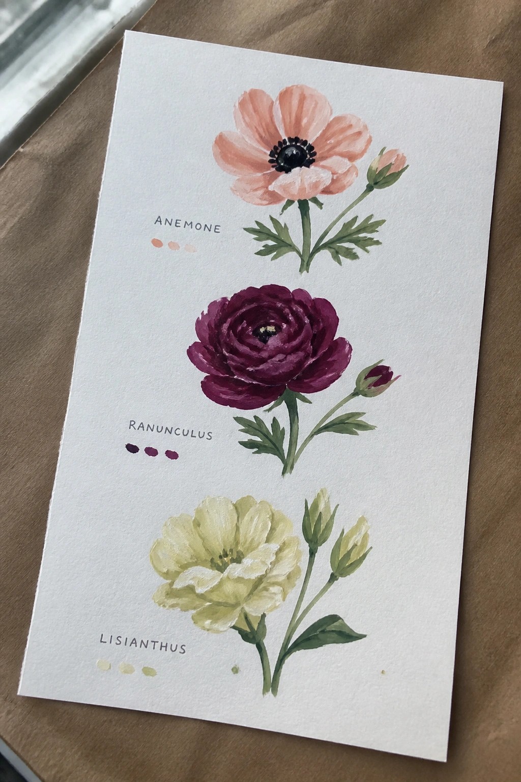 Watercolor illustrations of pink anemone, purple ranunculus, and yellow lisianthus with labels.