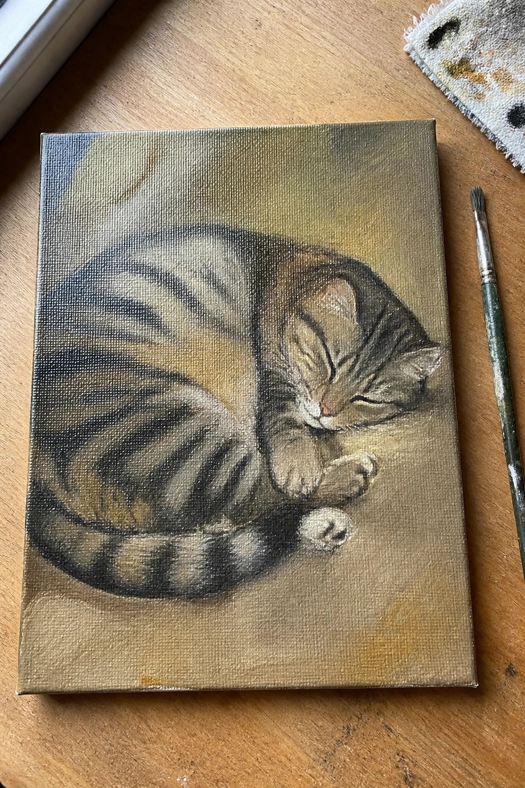 Sleeping tabby cat curled on canvas beside paintbrush on wooden table