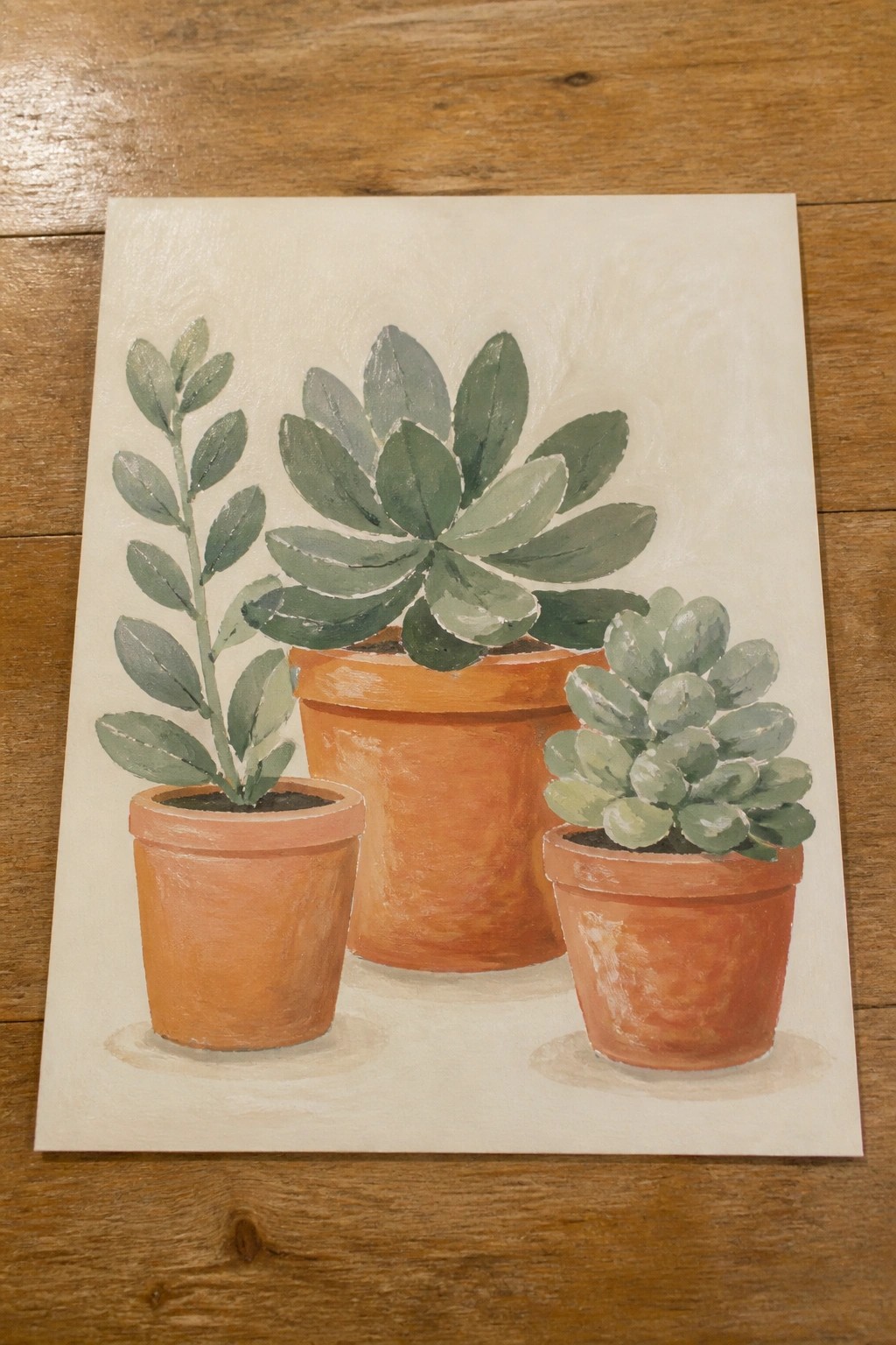 Watercolor painting of three green succulents in terracotta pots on wood