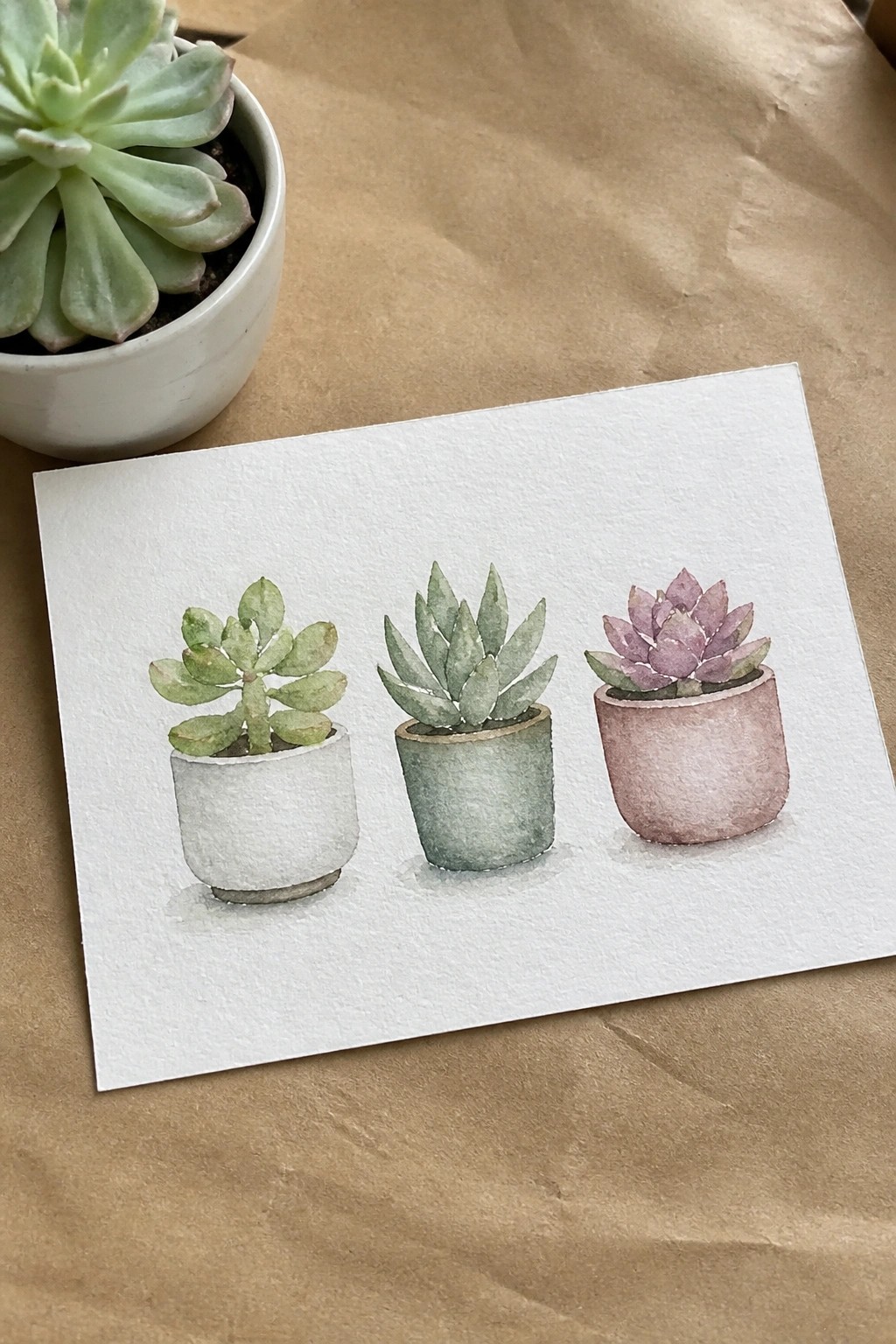 Watercolor of three succulents in white, green, and pink pots beside live plant
