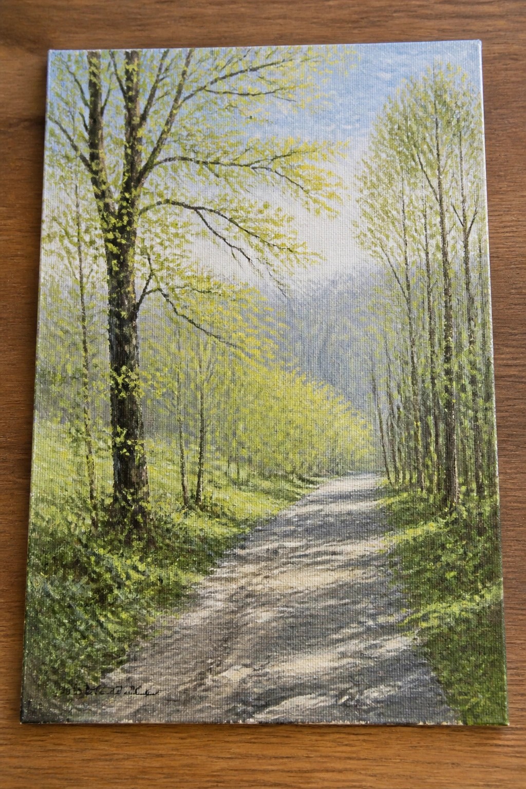 Winding dirt path through lush green forest trees with distant mountains visible.