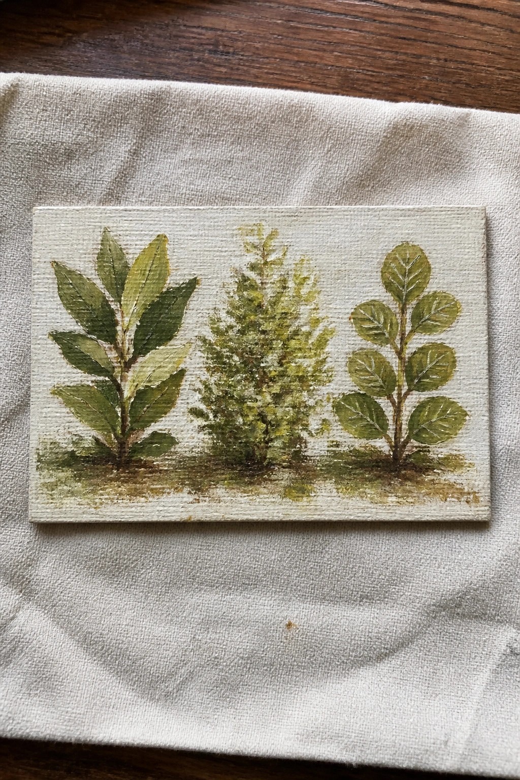 Small canvas painting of three green plants on white fabric over wood