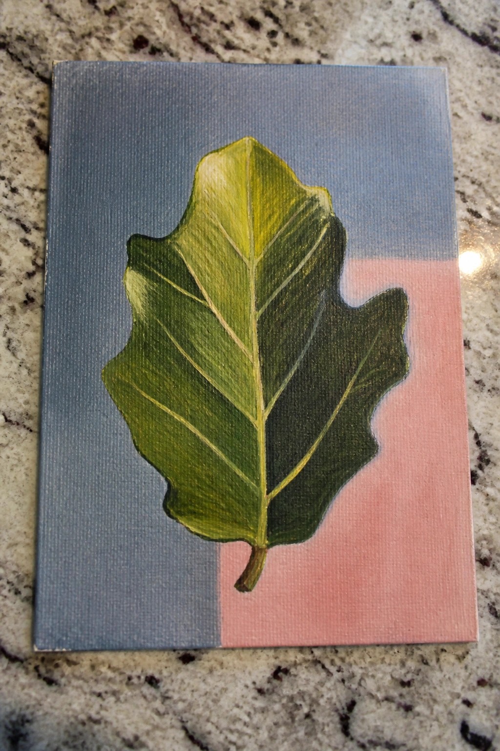 Green leaf with yellow veins on canvas split blue and pink, on speckled surface
