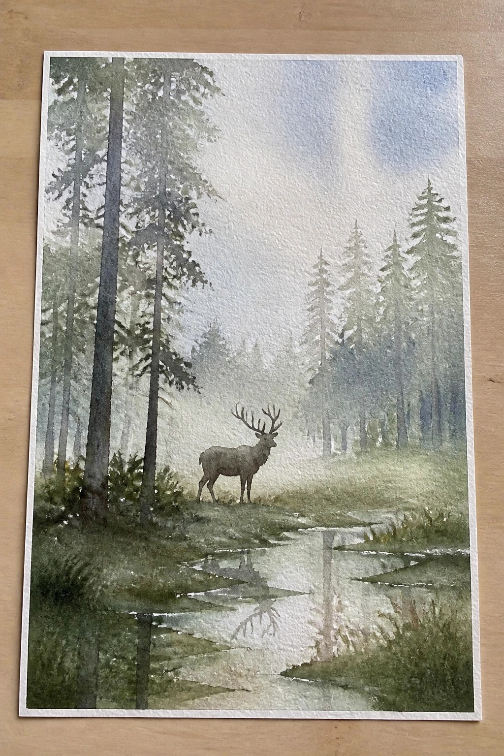 Watercolor of a stag by a misty stream amid tall pine trees in fog.