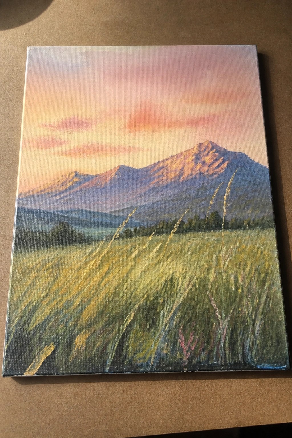 Sunlit mountain range rises above golden grass field under pink-orange sunset sky