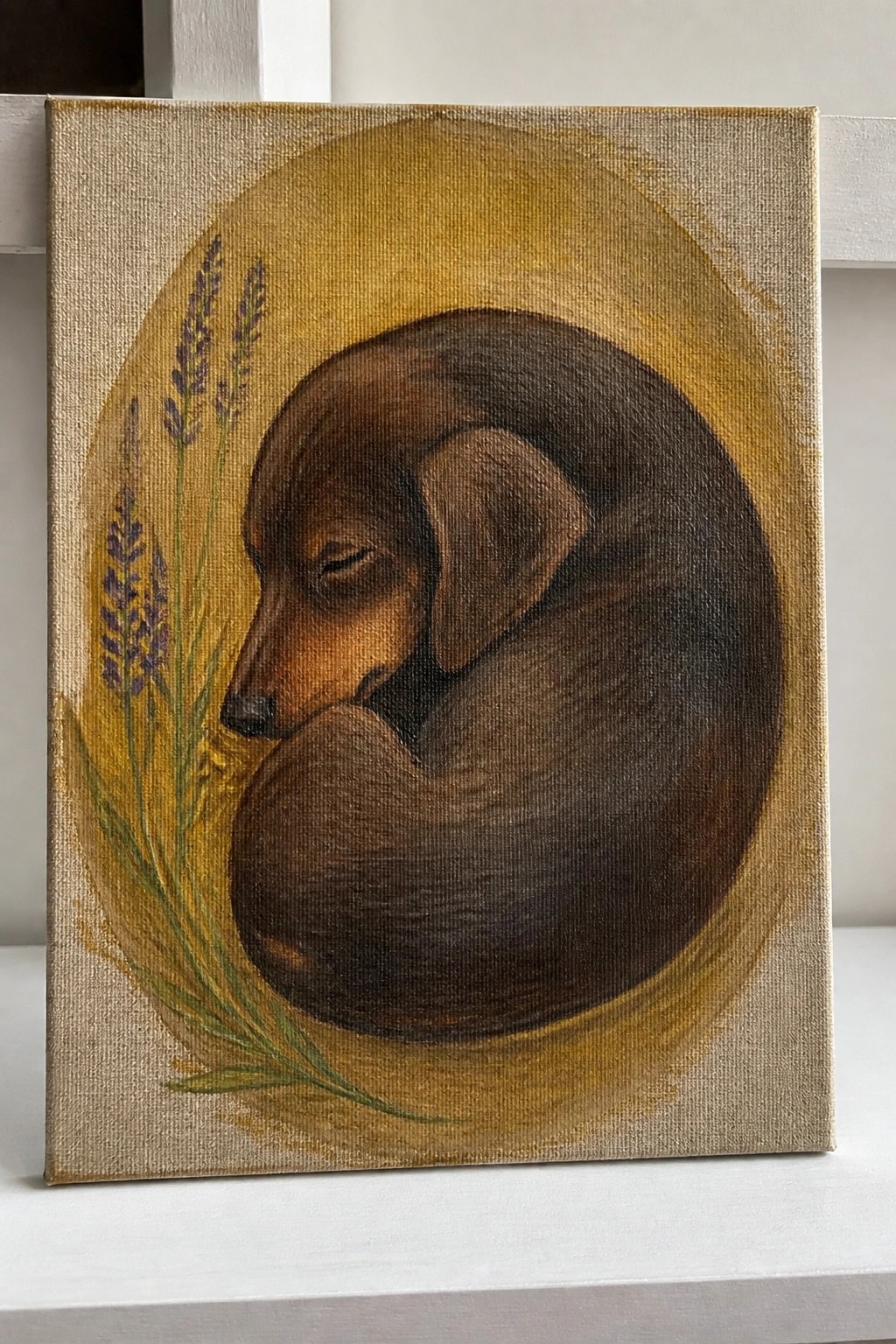 Curled brown dachshund sleeping beside purple lavender on golden circular background.
