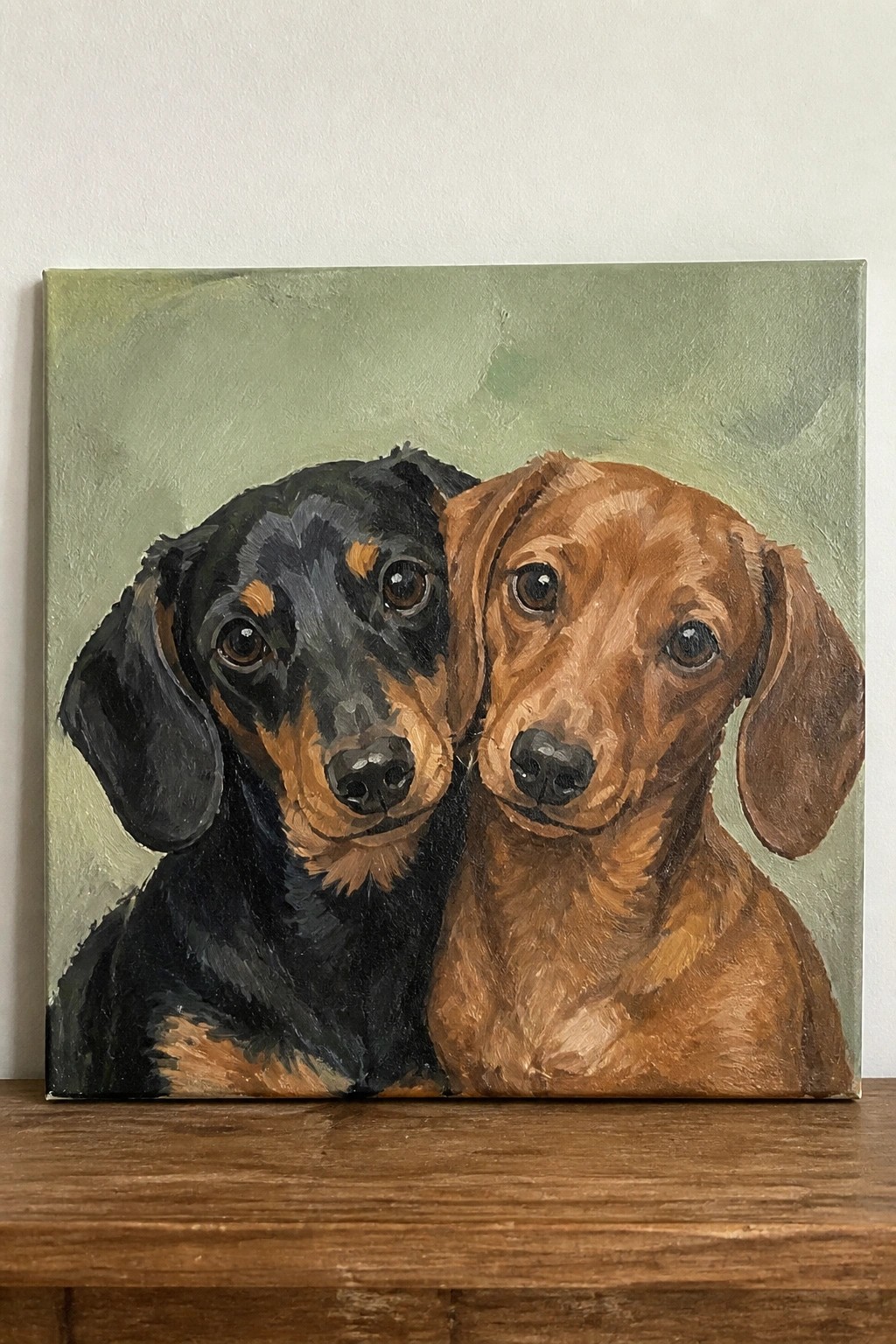 Two dachshunds, black and brown, side by side on green canvas background