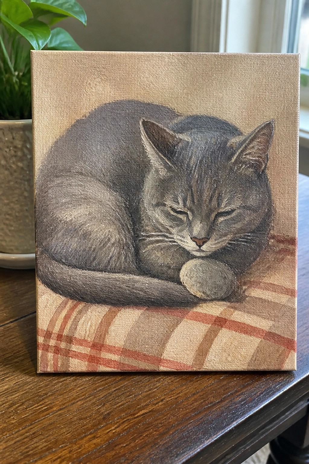 Gray tabby cat curled asleep on red plaid fabric atop wood