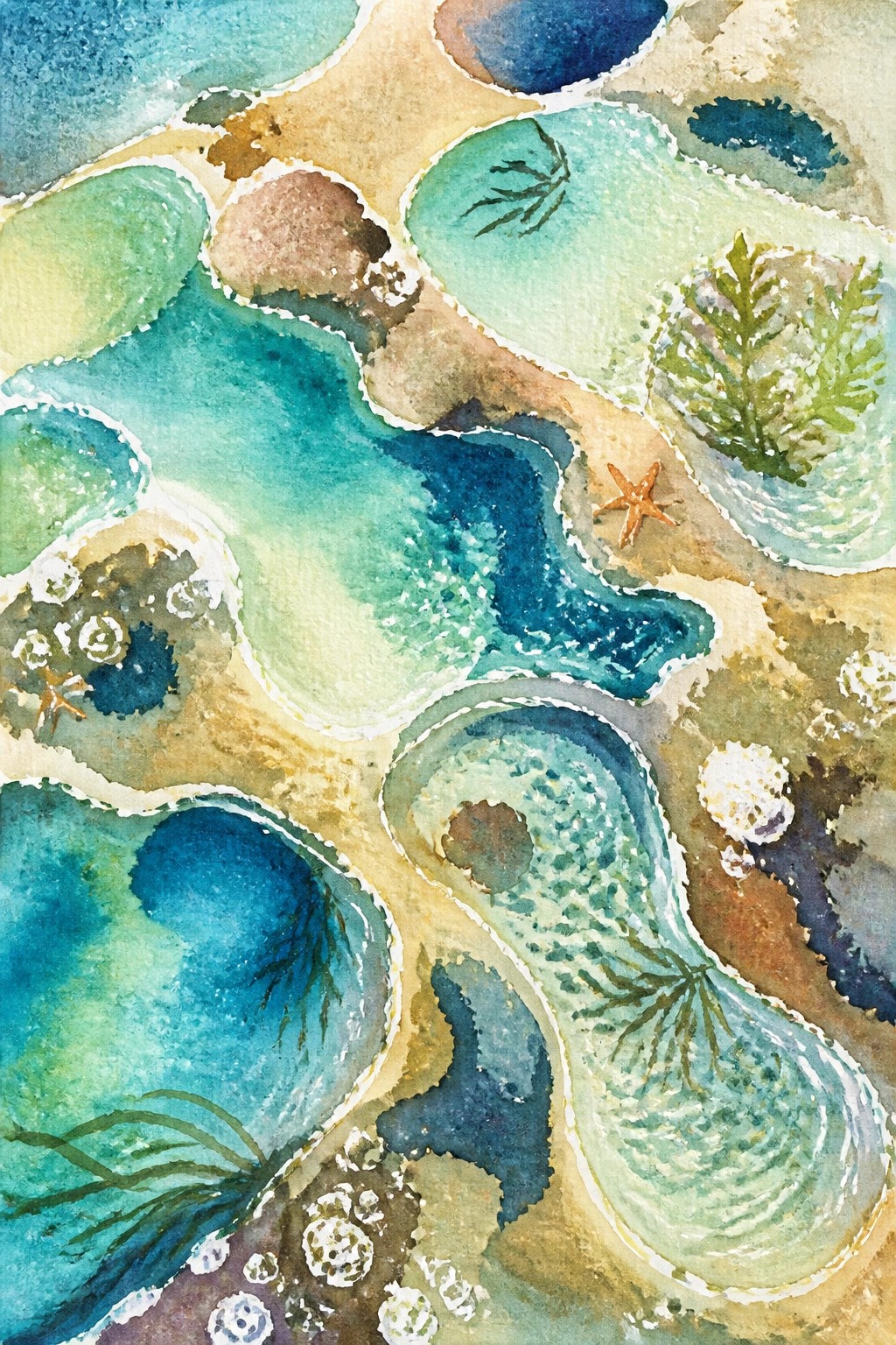 Watercolor painting of coastal tide pools with blue green waters sandy areas starfish seaweed and coral in simplified shapes