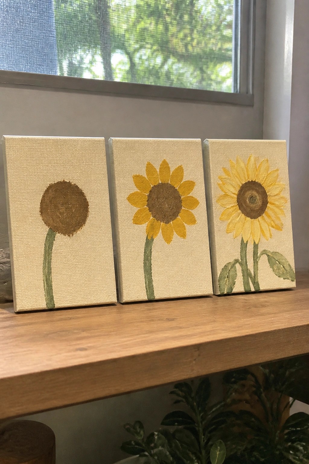 Three small canvas paintings showing a sunflower bud, half-open bloom, and full bloom lined up on a wooden surface.