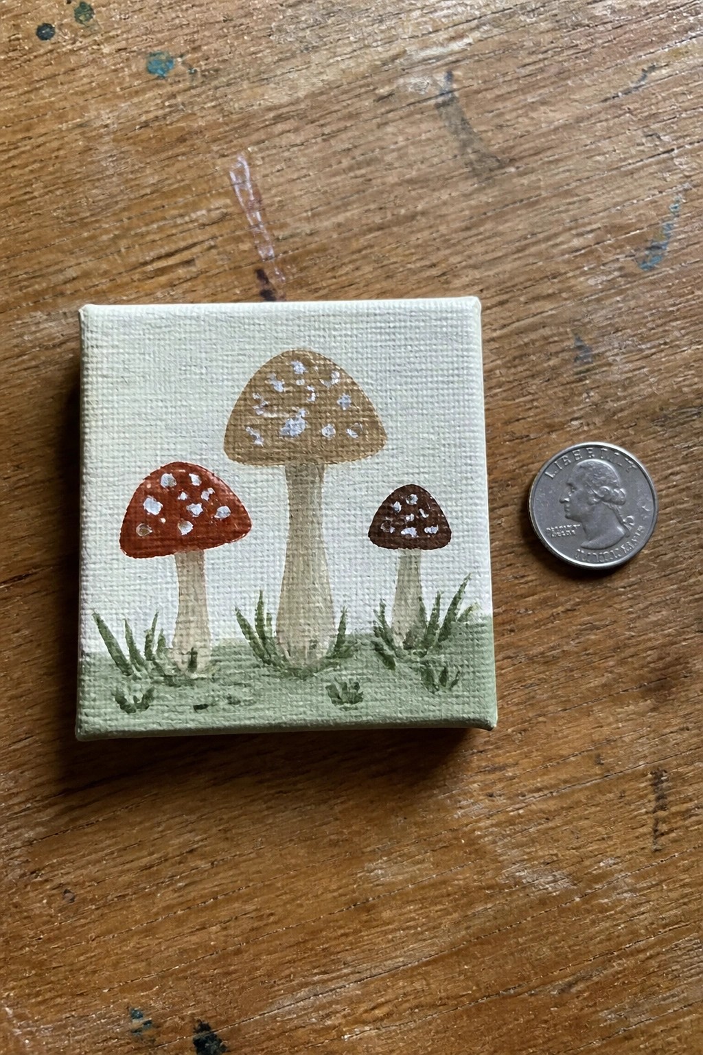 Tiny canvas with three spotted mushrooms and grass beside a quarter