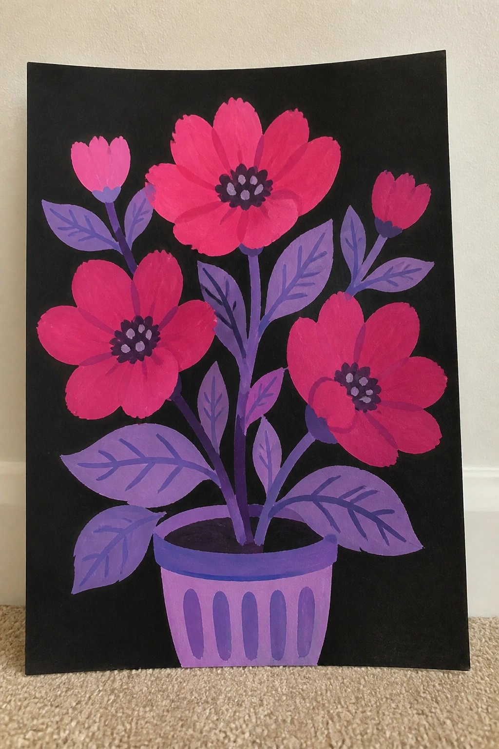 Vibrant pink flowers with purple leaves and stems in a pot on black background