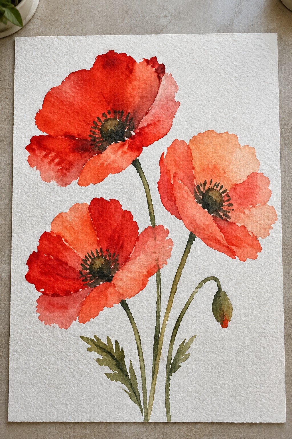 Watercolor painting of three red-orange poppies with green stems and leaves