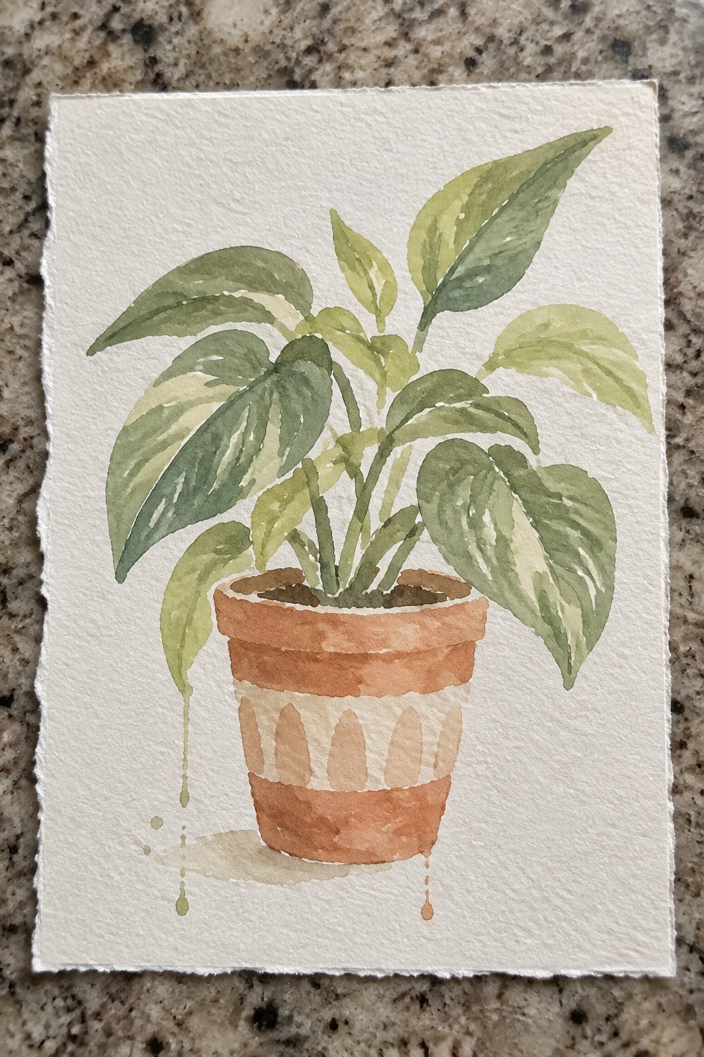Watercolor of variegated green plant in striped terracotta pot with water drips