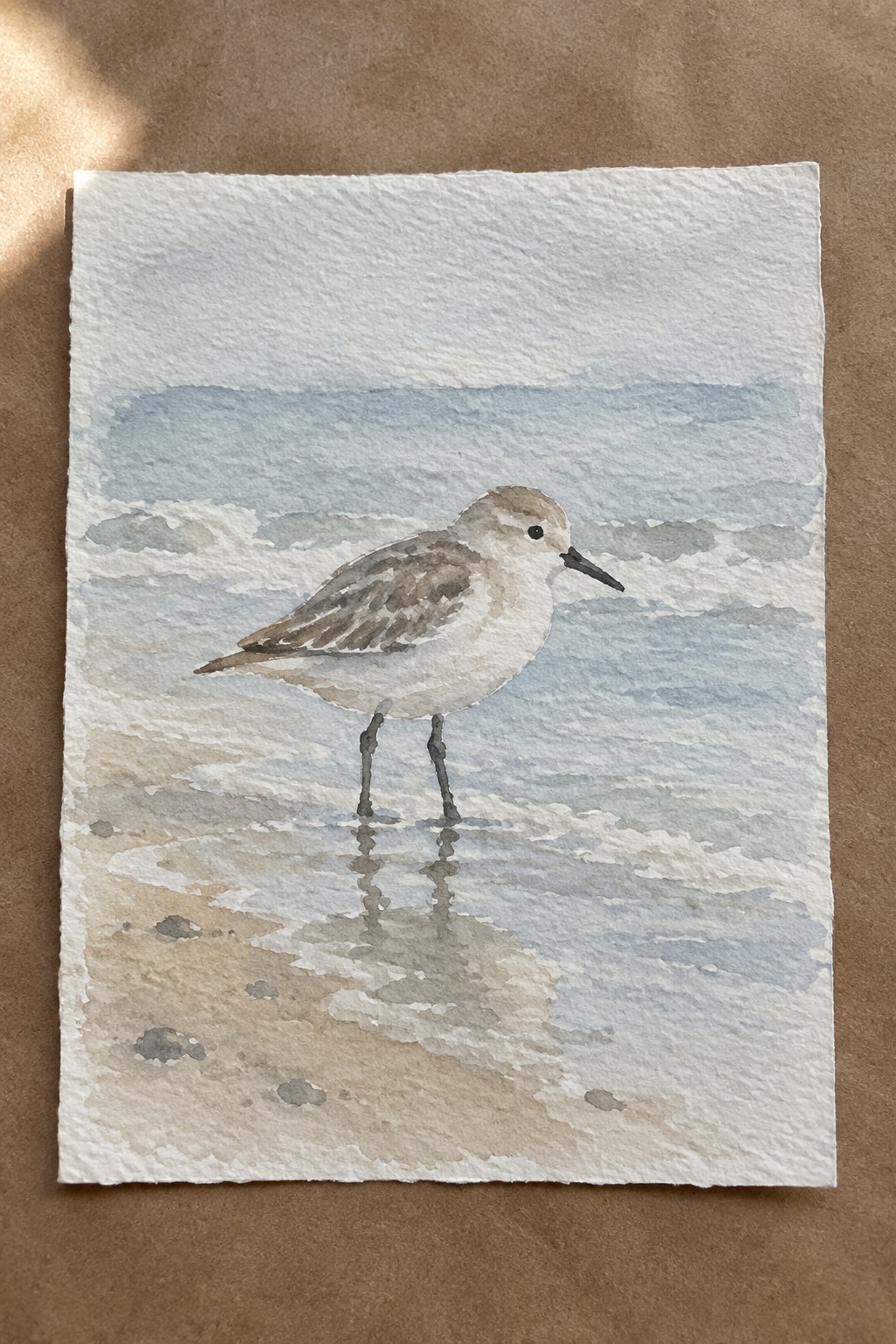 Watercolor of a small brown-and-white shorebird standing on wet sand by ocean waves.