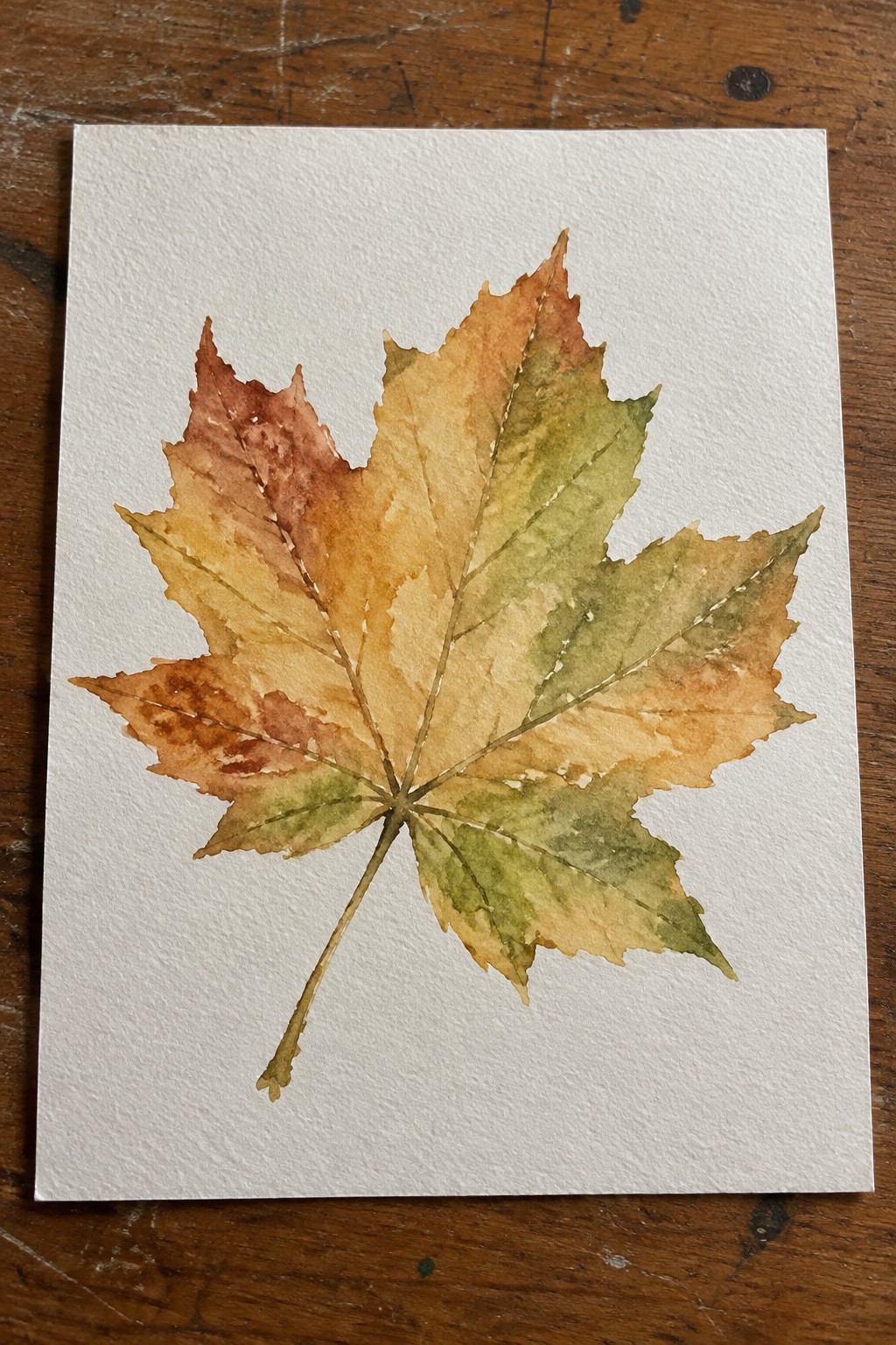 Watercolor autumn maple leaf in red, orange, yellow, and green on white paper.